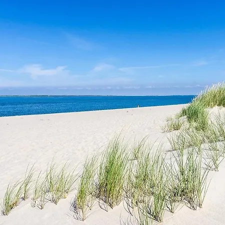 Domo Camp - Glamping Camp