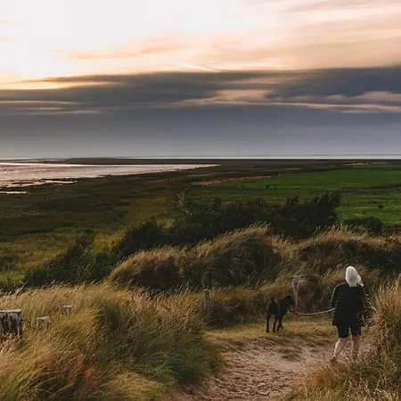 Domo Camp - Glamping Camp Campismo de Luxo *