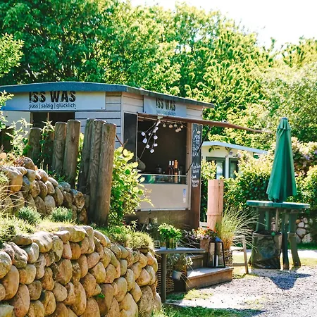 Domo Camp - Glamping Camp *