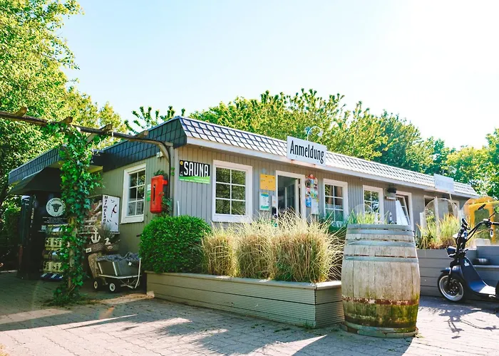 Domo Camp - Glamping Camp Luxe tent *